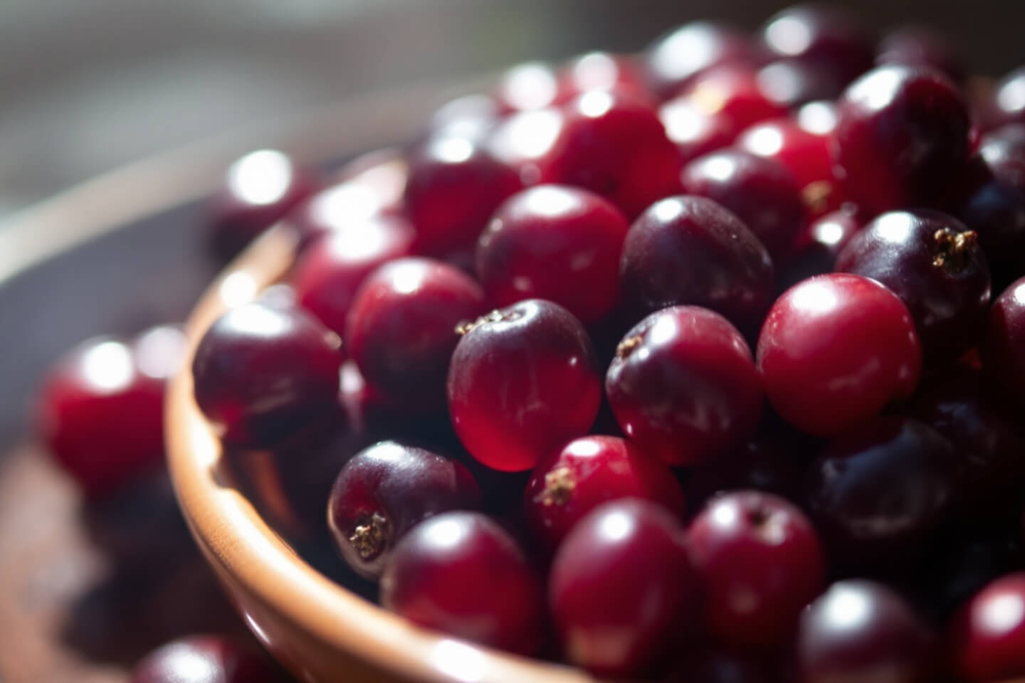 오미자 사진입니다.