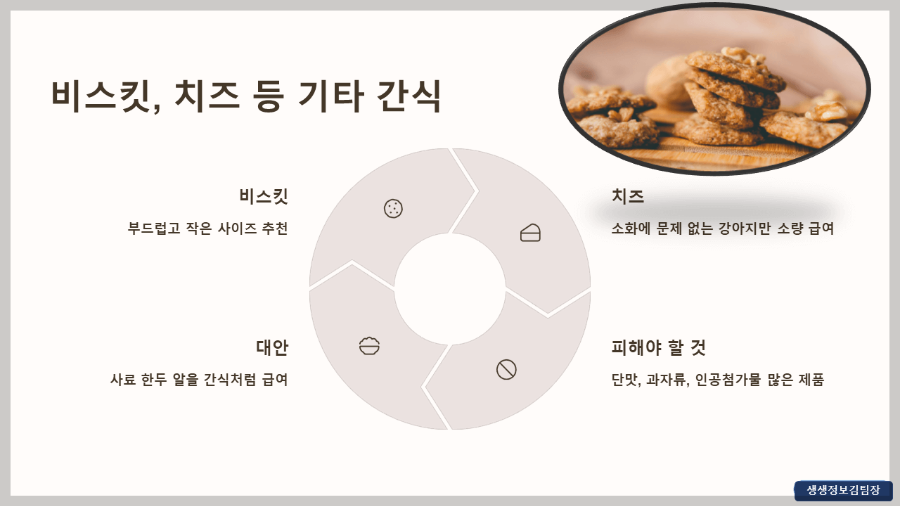 생후 2개월 강아지 간식 추천