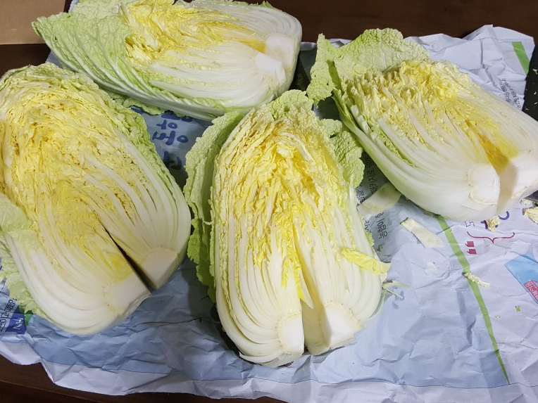 백김치 담그는 방법 02