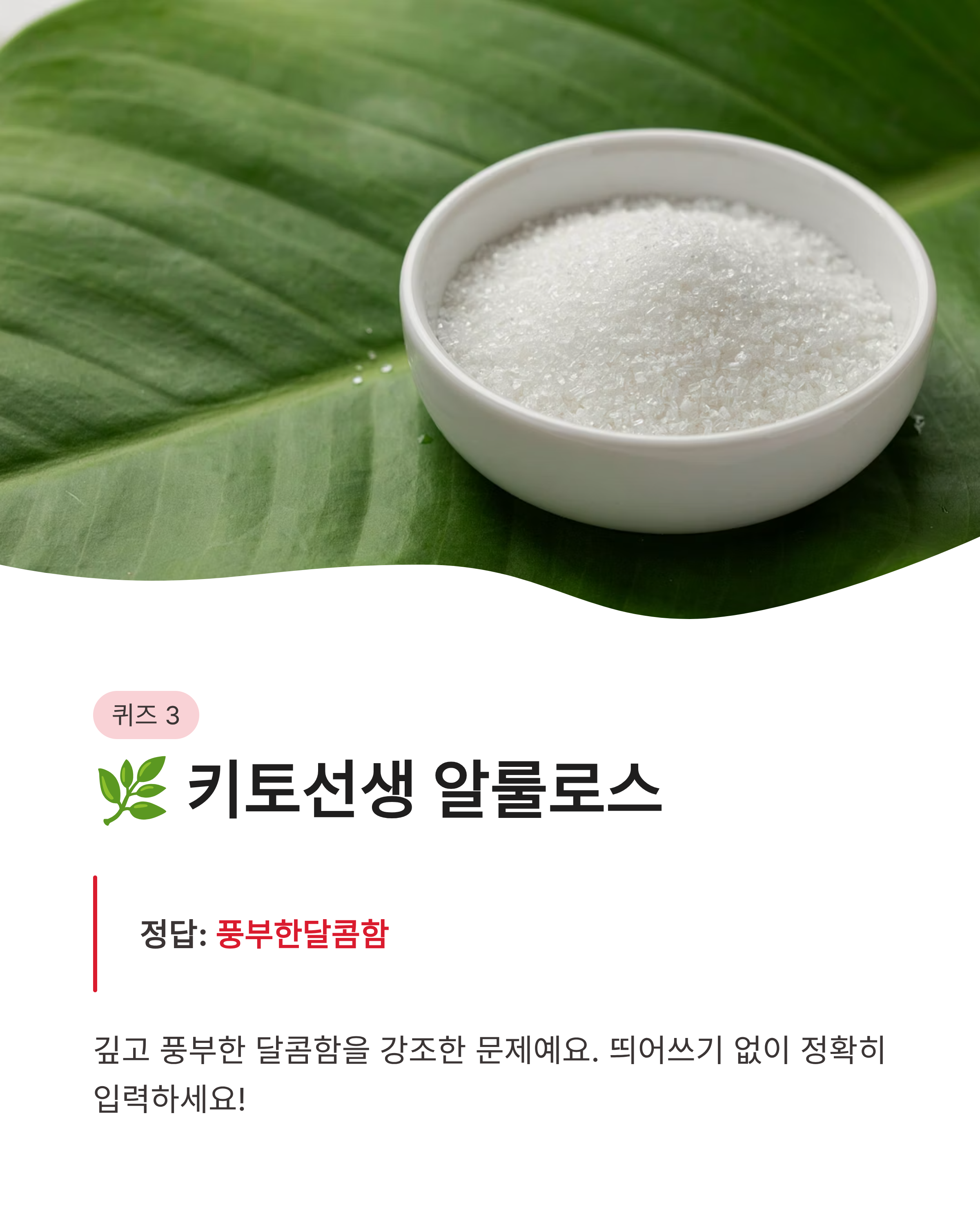 7월 31일 캐시워크 퀴즈정답 완벽정리!! 오늘 바로 캐시 받는 방법