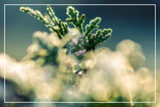 신한금융,하나금융,3분기실적,순이익,비이자이익,금융지주,은행실적,금융시장,금융뉴스,투자전망,금융주,주가전망,이자이익,NIM,자사주매입,배당정책,금융정책,경제이슈,2025금융,한국은행