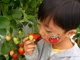 2023 전국 3월 축제 가볼만한 곳