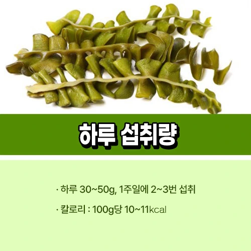 미역귀 하루 섭취량