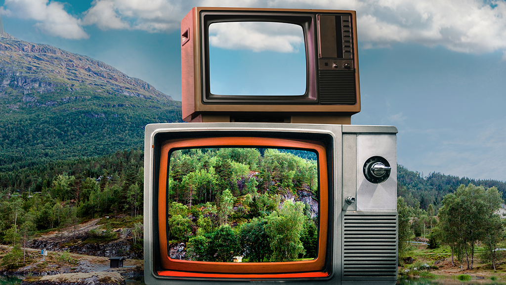 컬러 tv