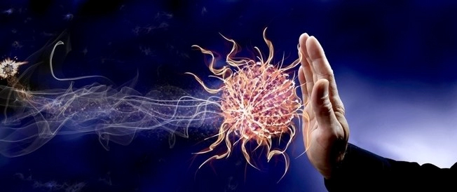 항원분해제 역할 과정 및 고양이 항원분해제