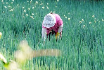 농업e지 농림축산식품부