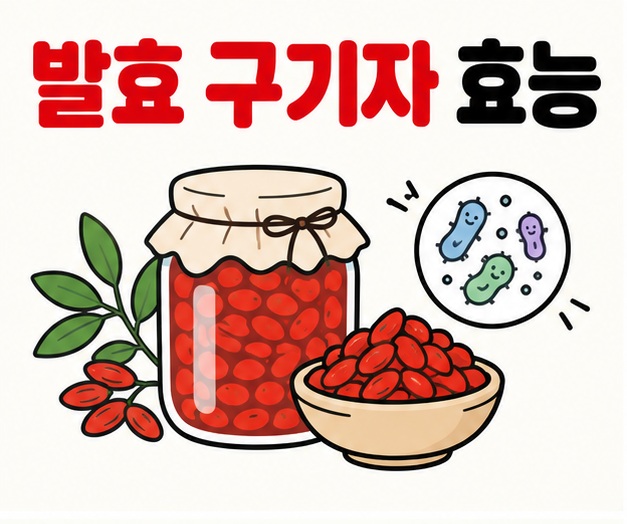 구기자 열매와 발효병 미생물 아이콘 옆에 발효 구기자 효능 문구를 크게 보여주는 대표 카드