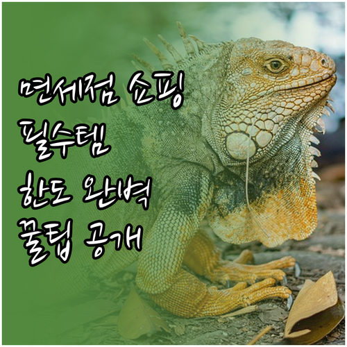 여행 전 필수! 면세점 쇼핑: 면세 ..