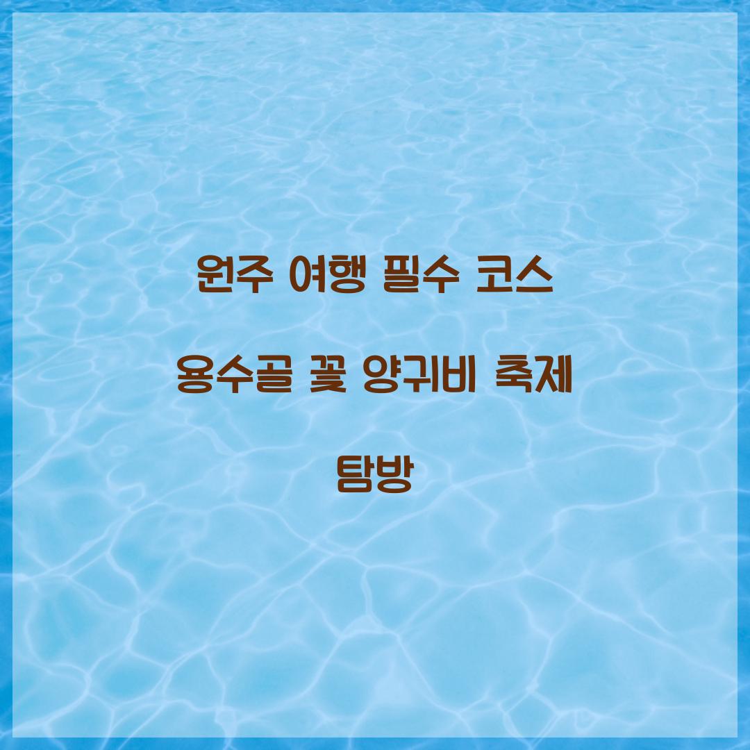 용수골 꽃 양귀비 축제