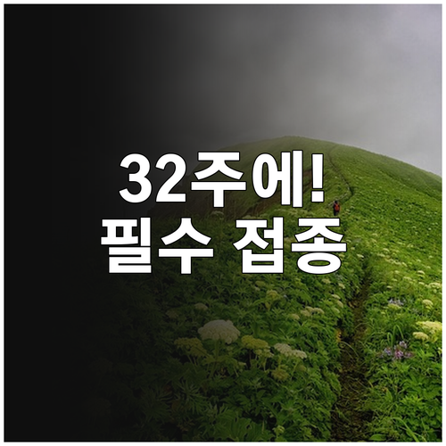 임신 32주 백일해 접종 아기 보호 ..