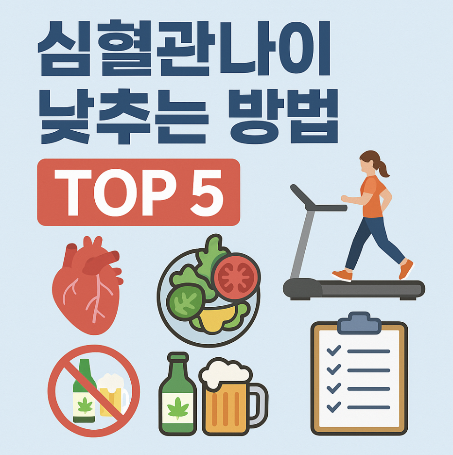 심혈관나이 낮추는 방법 Top5