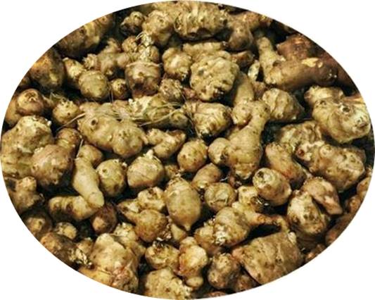 돼지감자차,말린돼지감자,예루살렘아티초크,돼지감자차효능,돼지감자즙,돼지감자효능,볶은돼지감자,돼지감자먹는법