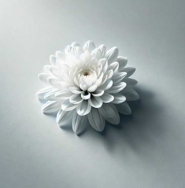 부모님이 돌아가셨을 때 절대 하지 말아야 할 일