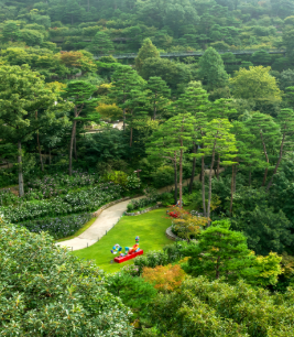화담숲 예약 모노레일 예약 관람방법