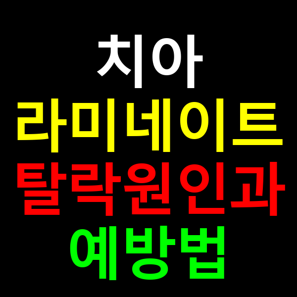 라미네이트 탈락
