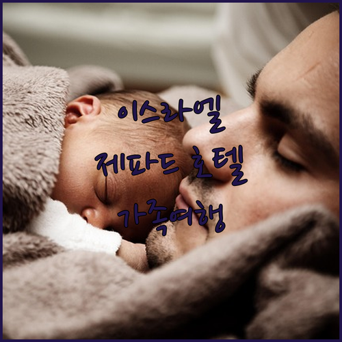 루스 제파드 호텔 숙박 후기, 고대 ..