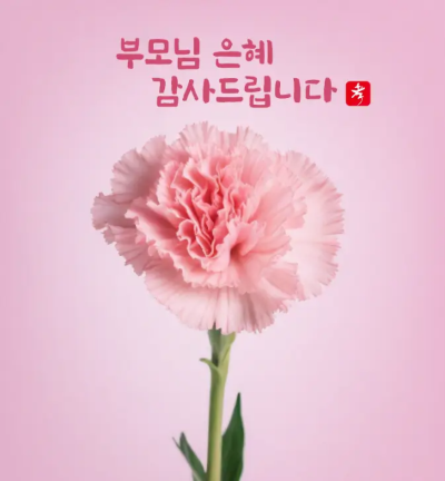 어버이날-이미지-9