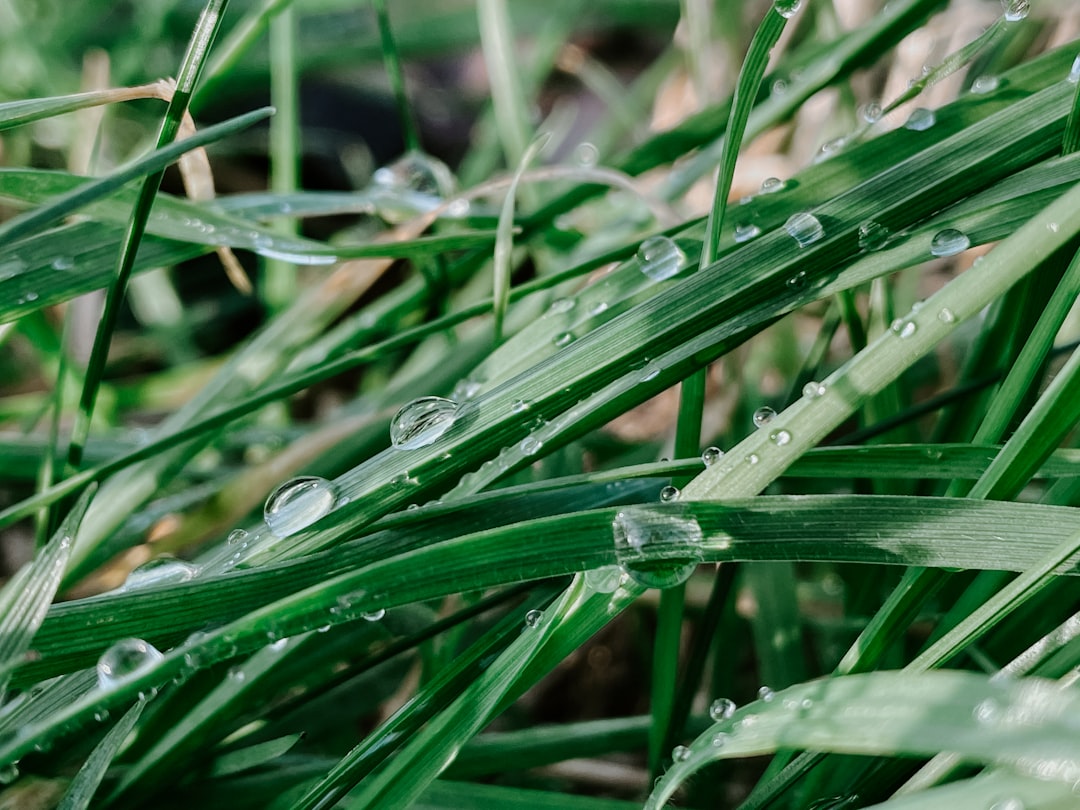 Moisture.