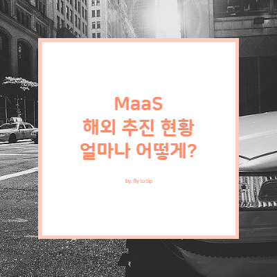 MaaS 해외 추진 현황