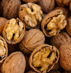 호두 효능과 부작용 하루섭취량 먹는방법 고르는법