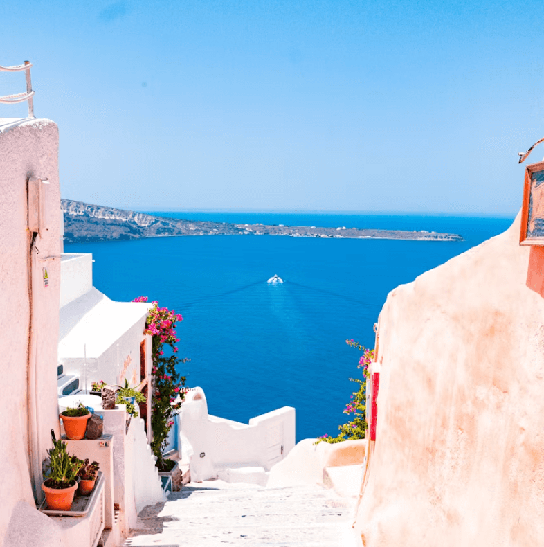 여권없을때 대처법