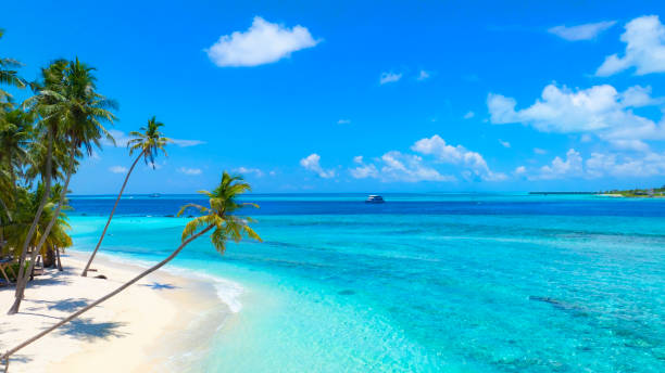 몰디브 vs. 발리, 당신에게 맞는 최고의 휴양지는 어디일까?