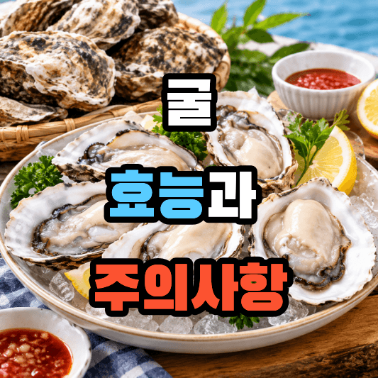 굴 효능과 주의사항