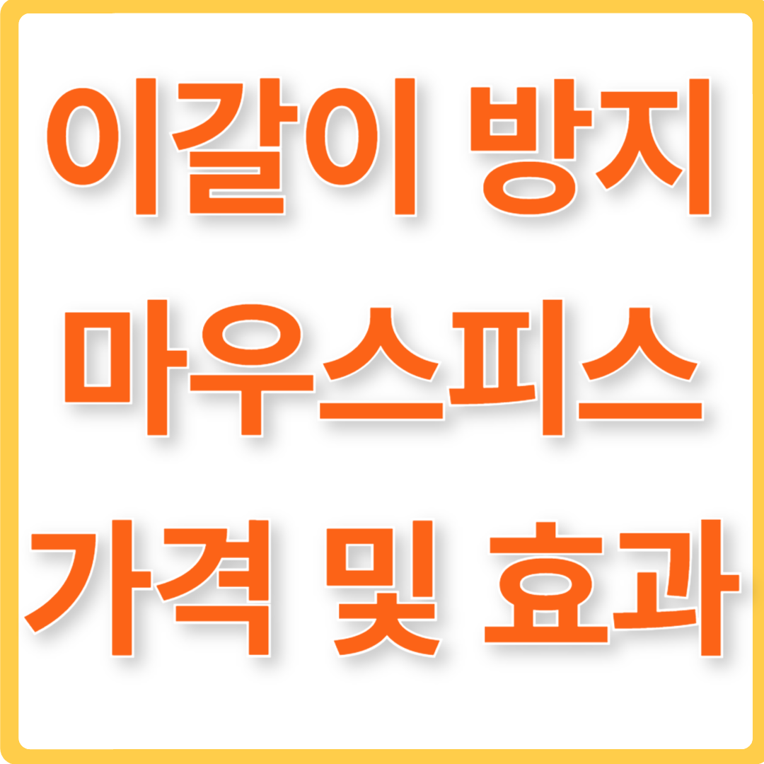 이갈이방지 마우스피스 가격 및 효과