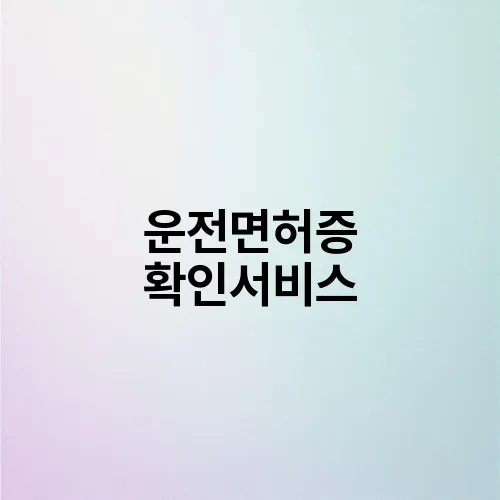 운전면허증 확인서비스
