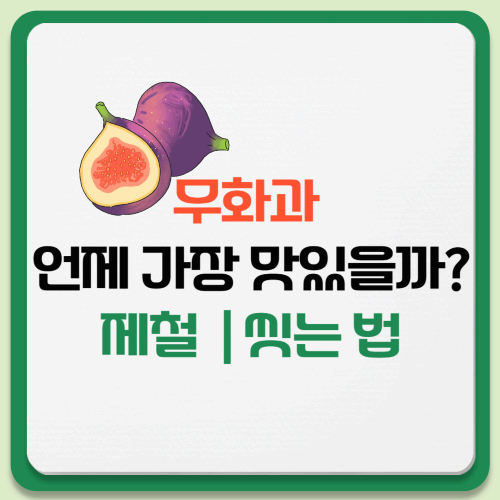 무화과 가격과 제철 시기 ❘ 신선한 무화과 고르는 법 + 씻는 법·보관법까지