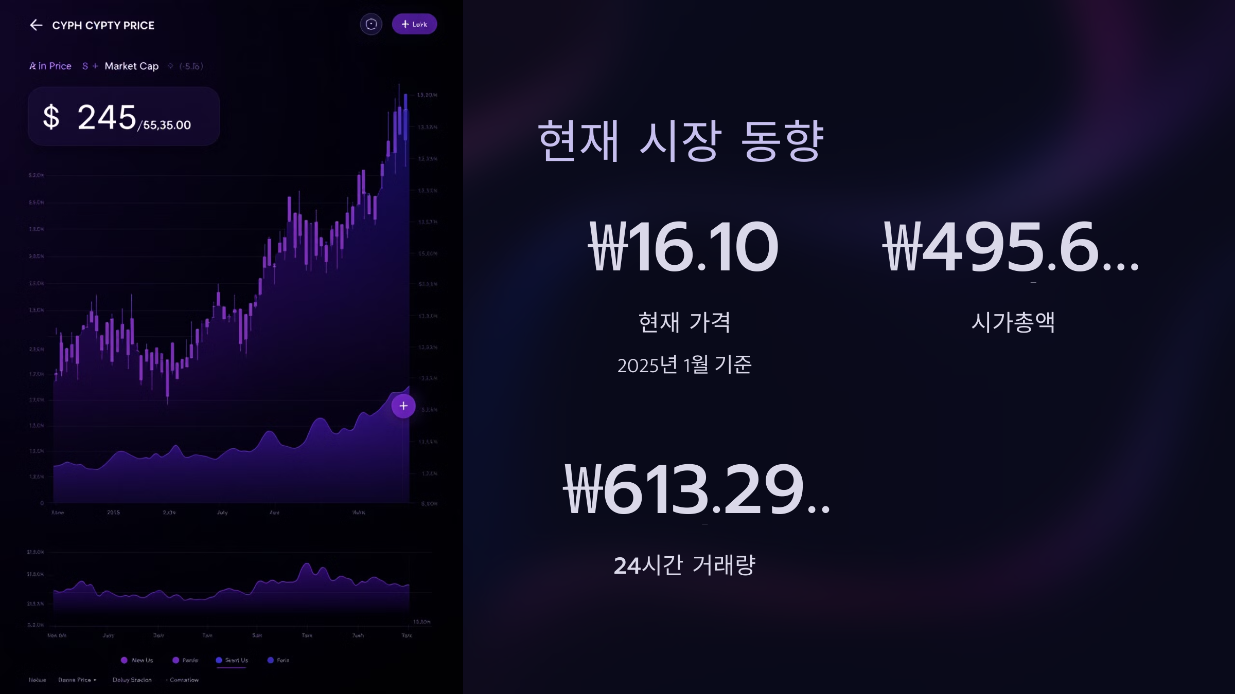 현재 시장 동향