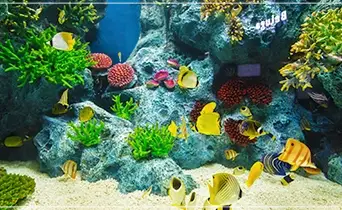 롯데월드-아쿠아리움-입장료-운영-시간-할인