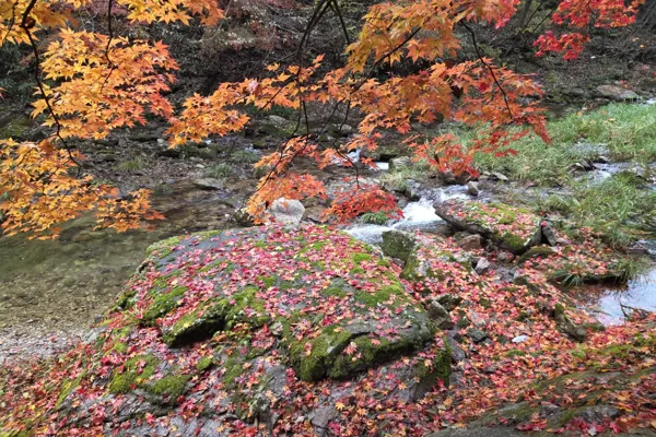 강천산9