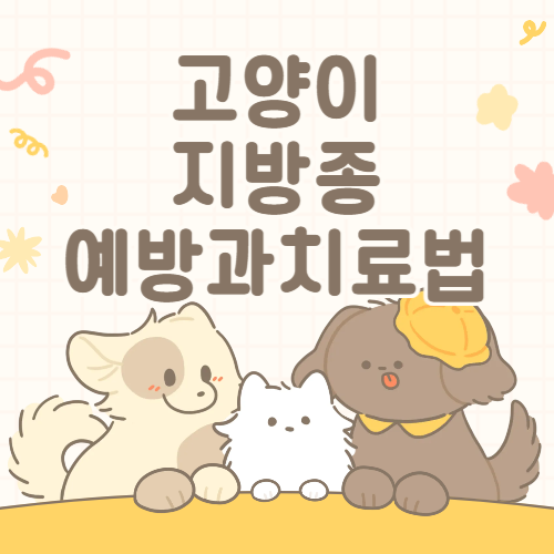 고양이 지방종, 원인과 치료방법 꼭 알아두기!