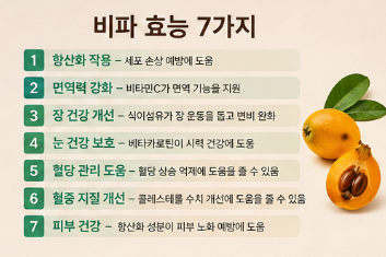 비파 효능 7가지&amp;#44; 비파잎 효능과 부작용까지 한 번에 정리2
