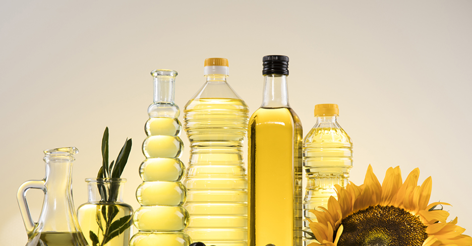 구와우마을 해바라기 축제