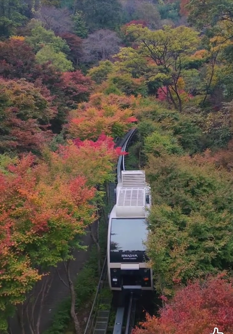 화담숲 단풍시기 예약 단풍명소