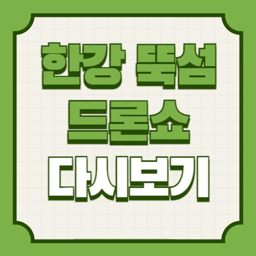 한강 뚝섬 드론쇼 2025 공연 일정 및 다시보기