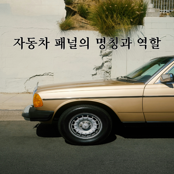 자동차 옆 모습