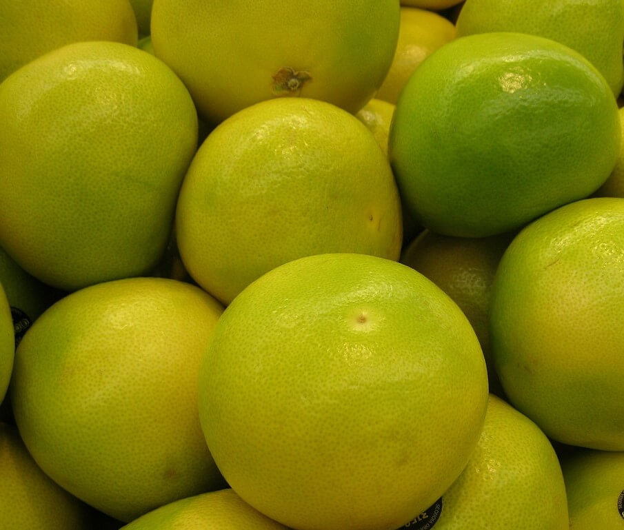 청자몽1