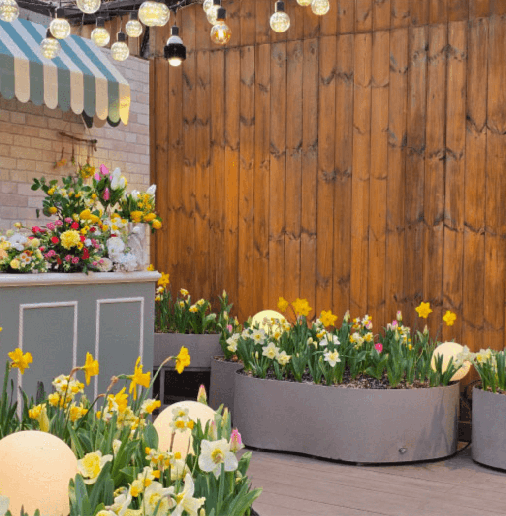 화담숲 화담채 모노레일 사전 예약&amp;#44; 할인받고 예매 하기