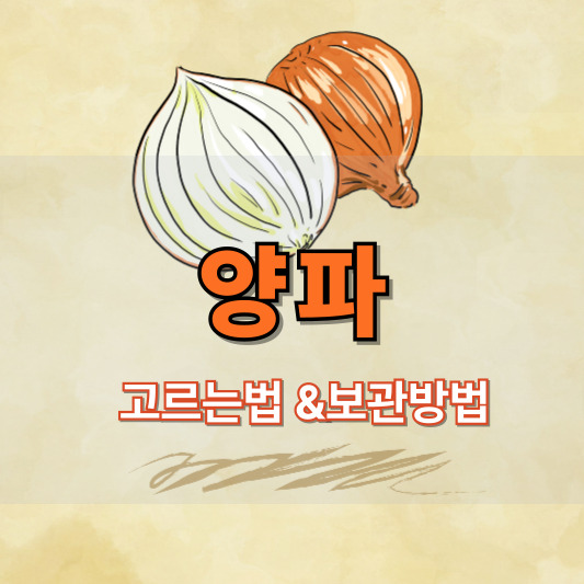 좋은 양파 고르는 법 &amp; 보관 방법 - 양파를 오래 보관하는 생활 꿀팁