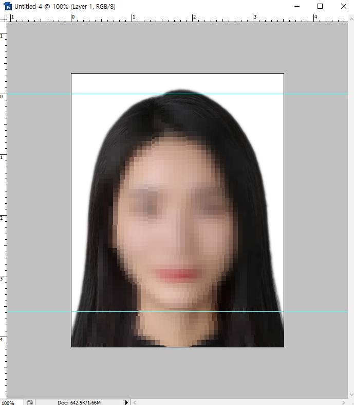 여권 사진 규격 맞추기
