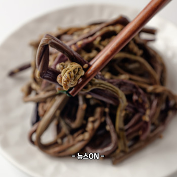 고사리나물 부작용