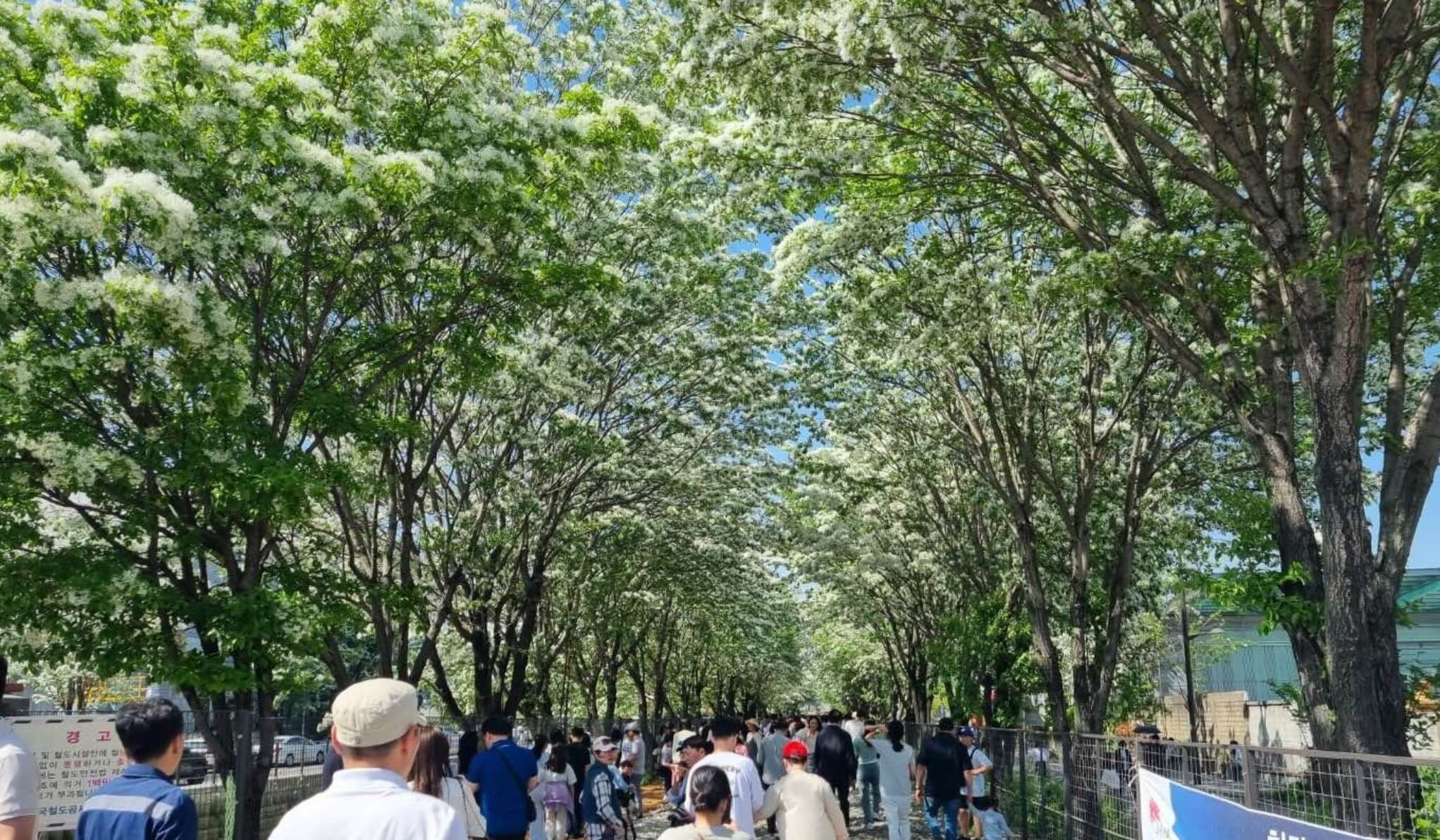 4~5월 전주 가볼만한 곳