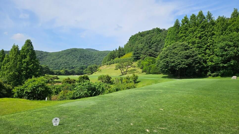 골프장 경험담 여주 신라CC 전통의 품격과 현대의 감성이 만나는 곳 완벽 가이드