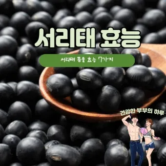 서리태 효능 콩물 만드는방법 수확시기 서리태콩 정보_18