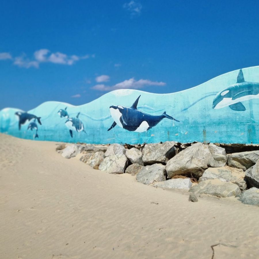 고래불해수욕장