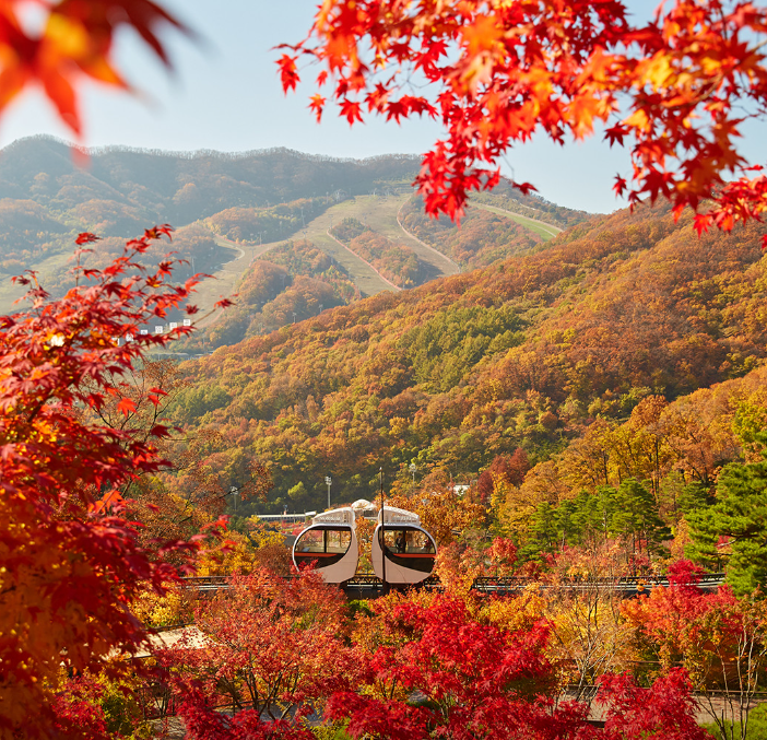 화담숲 이미지