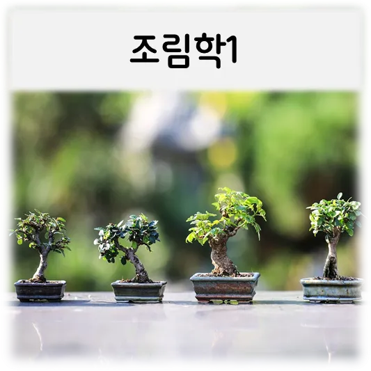 조림학1-분재4개